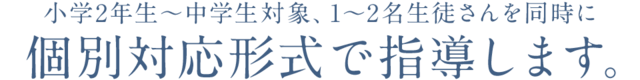 小学2年生～中学生対象、1～2名生徒さんを同時に個別対応形式で指導します。